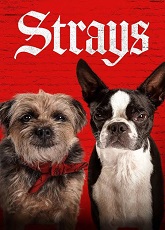 The Strays