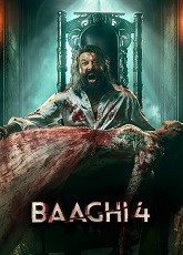 Baaghi