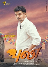 Puli
