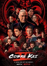 Cobra Kai 1-